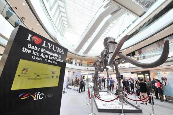 冰封逾 4 萬年 長毛象首來港展覽